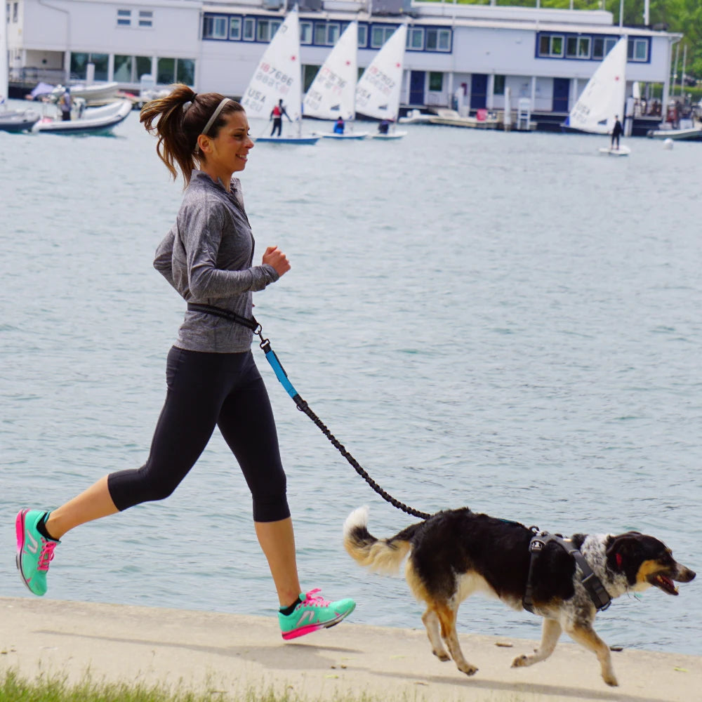 Person running with a dog on a hands-free waist leash
