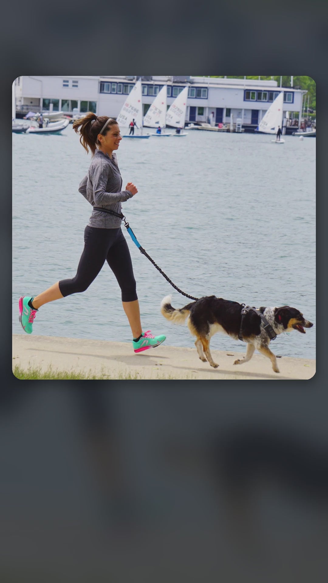Hands-Free Dog Leash – product video